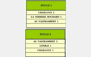 Challenge Vaillant